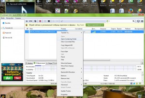 После того, как файл с фильмом или с чем то другим скачался, необходимо навести курсор мыши на закачку и нажать правую кнопку мыши